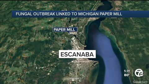 Michigan paper mill linked to fungal outbreak infecting nearly 100 workers