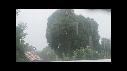 Chuva Ao Vivo