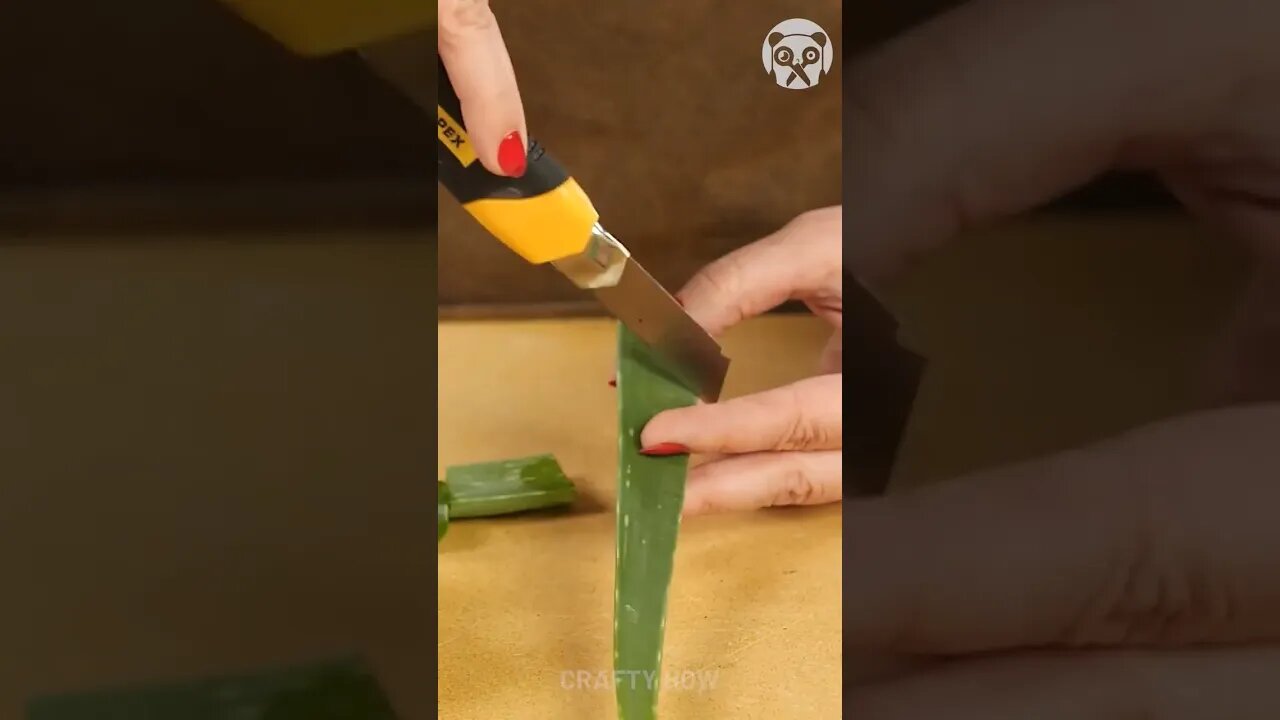 Aloe vere for rose #5minutecrafts #minecraft #satisfyingvideo #science #satisfying #craftideas