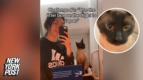 Cat owner sparks debate bringing litter box on airplane