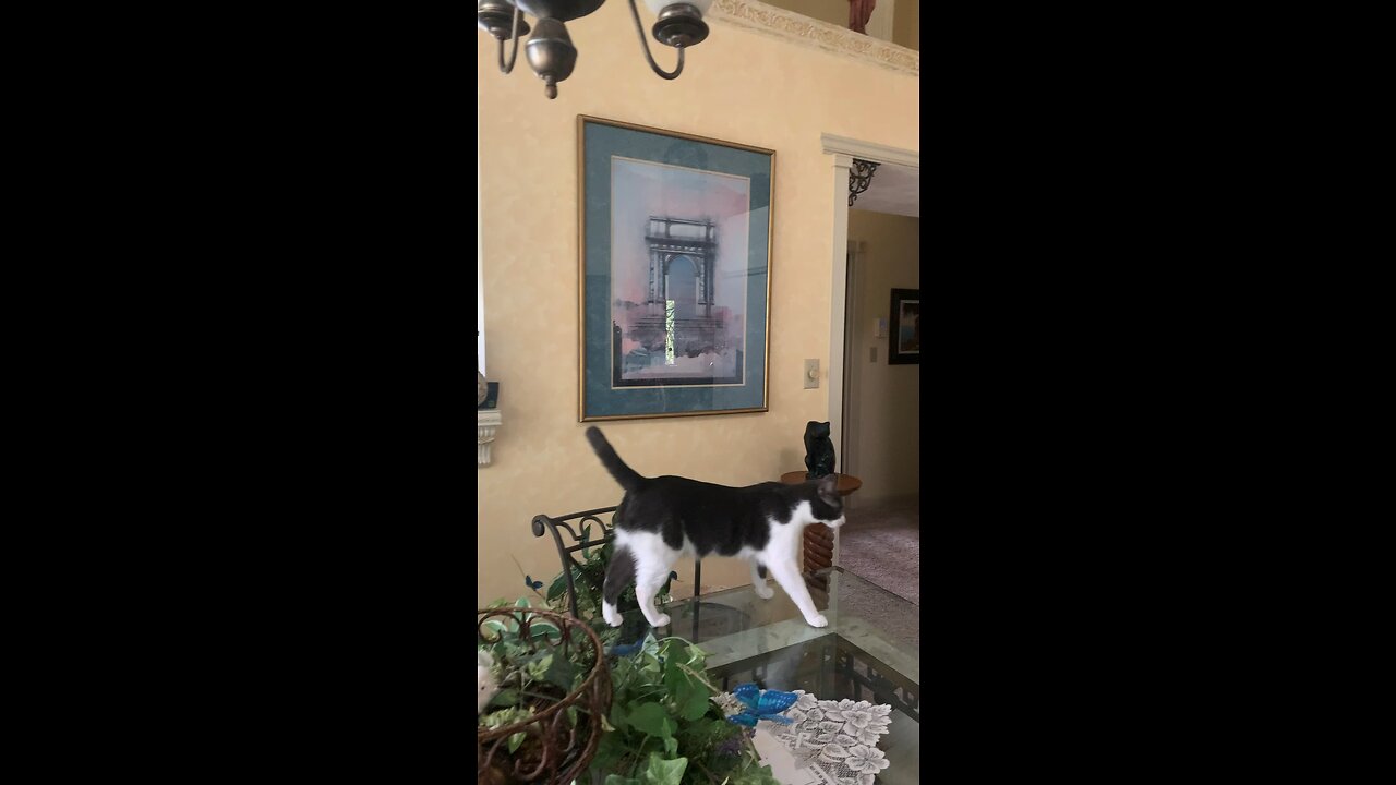 Bella’s talk!