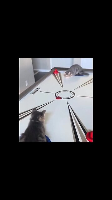 Getting ready for the air hockey Olympics