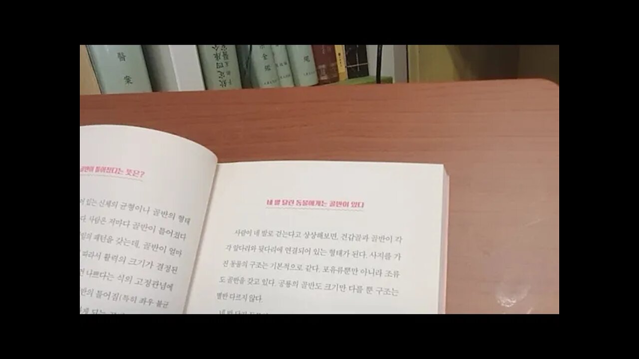 여자와 골반, 카타야마 요지로, 틀어딤, 생리중, 계패운동, 이완, 수축, 피곤함, 교정, 장골, 좌골,치골