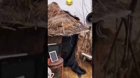 Funny 🤣 videos for entertainment and viral shorts for funny moments(2)