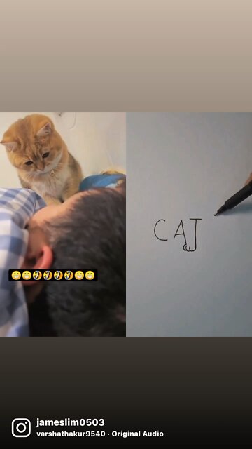 I have no idea what the cat was thinking 🤔 💭