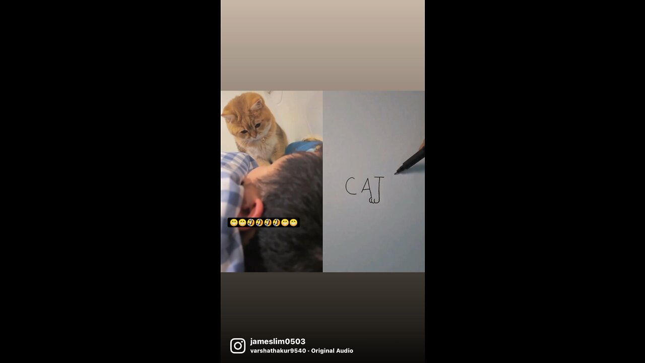 I have no idea what the cat was thinking 🤔 💭