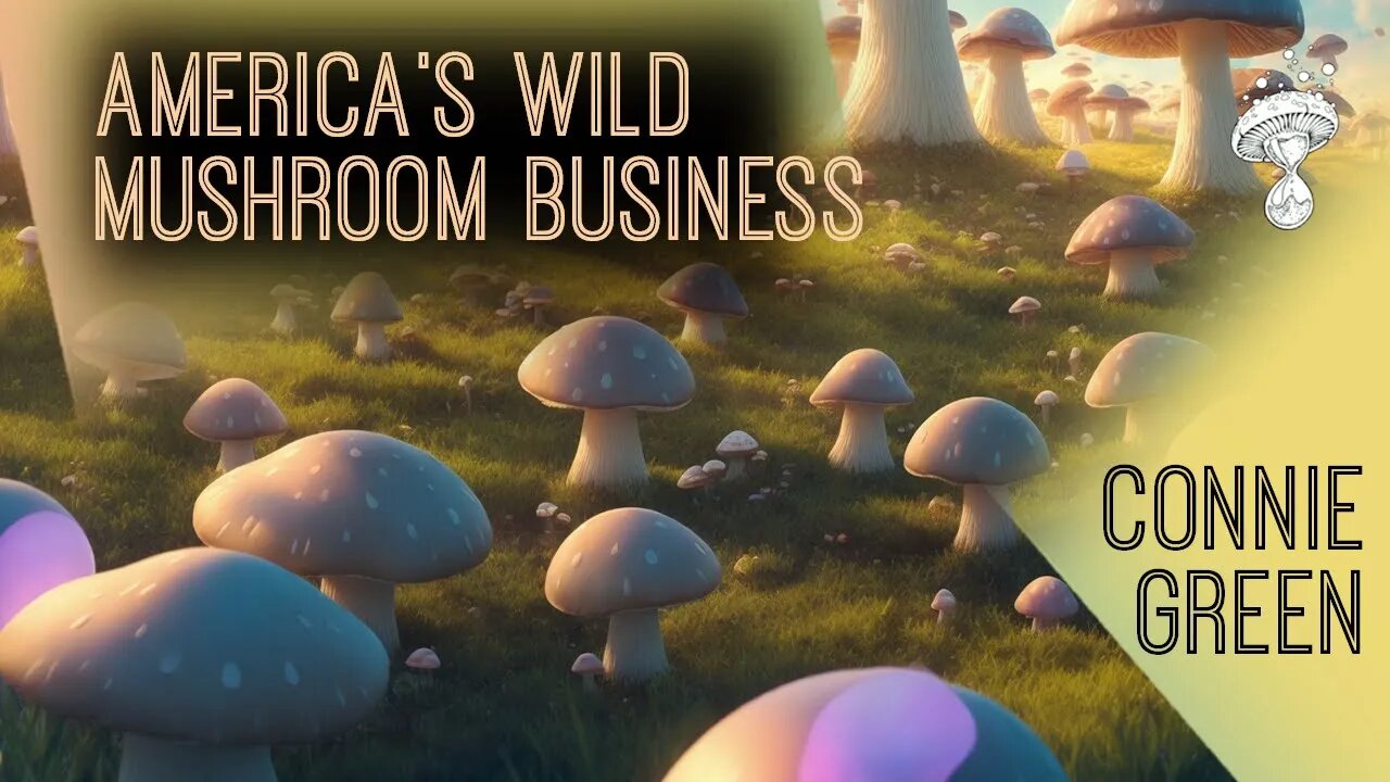 Origins and Evolution of America's Wild Mushroom Business | Connie Green