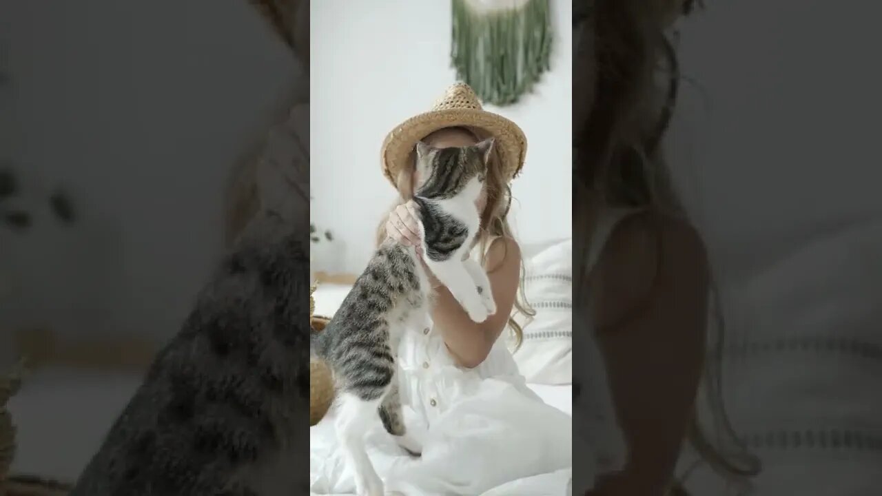 KUCING LUCU #PART 45