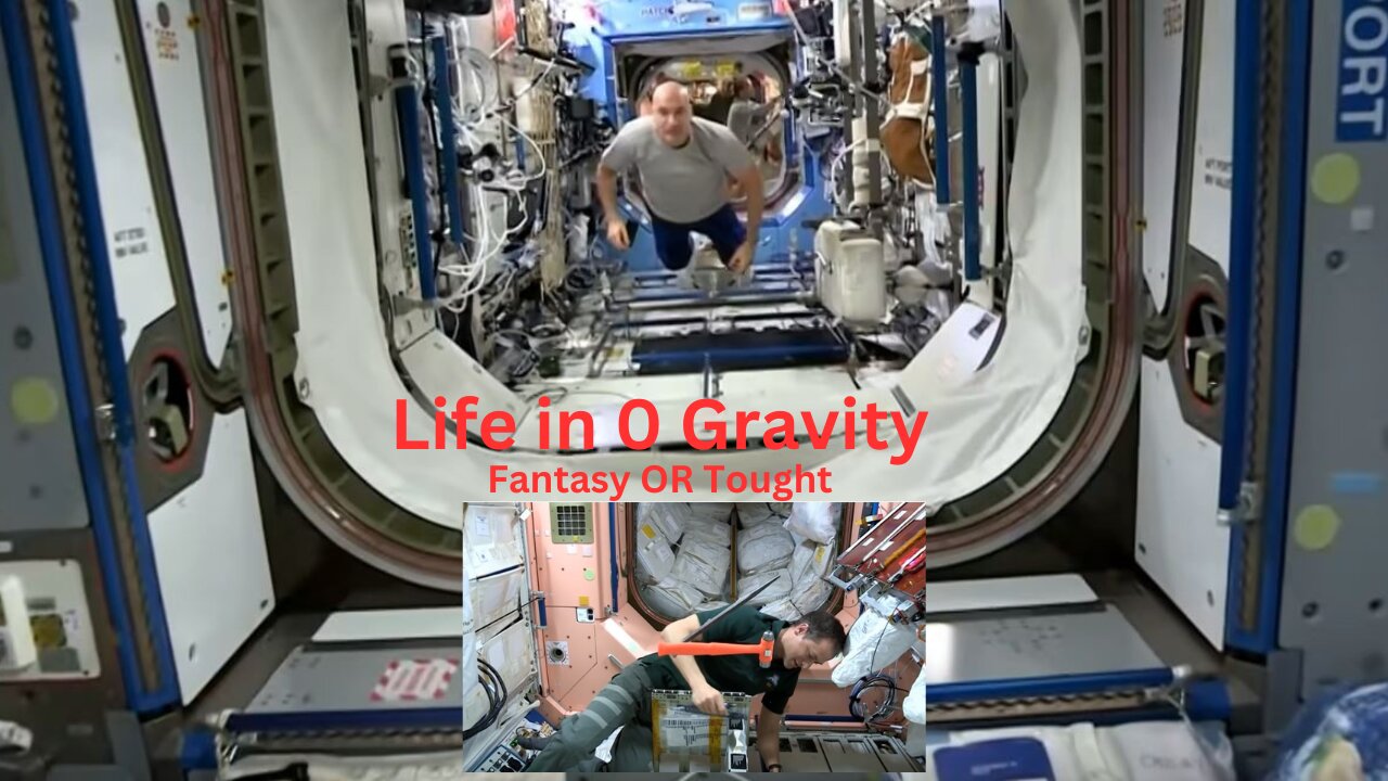 Live in ZERO Gravity I Fantasy to FLOAT I NASA