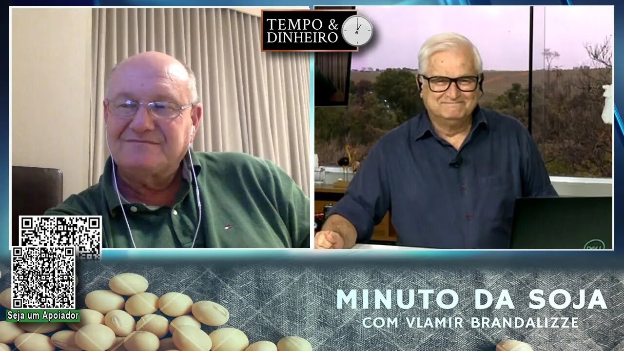 Milho está com lavouras entre boas e ótimas