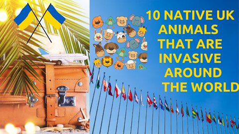 10 Native UK animals that are invasive around the world!