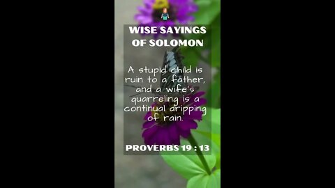 Proverbs 19:13 | NRSV Bible - Wise Sayings of Solomon