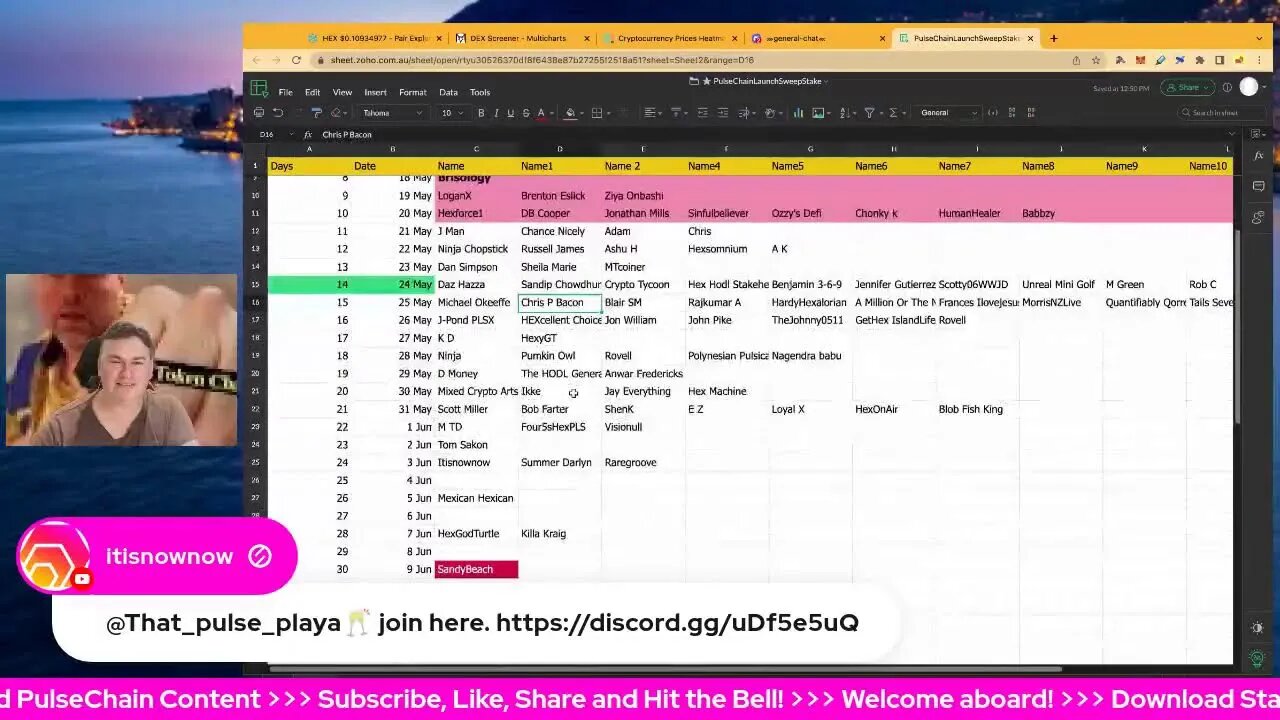 Hex Cryptocurrency: Hex Price, Hex Staking & Hex Per T-Share Payouts! PulseDodgeCoin Audits!
