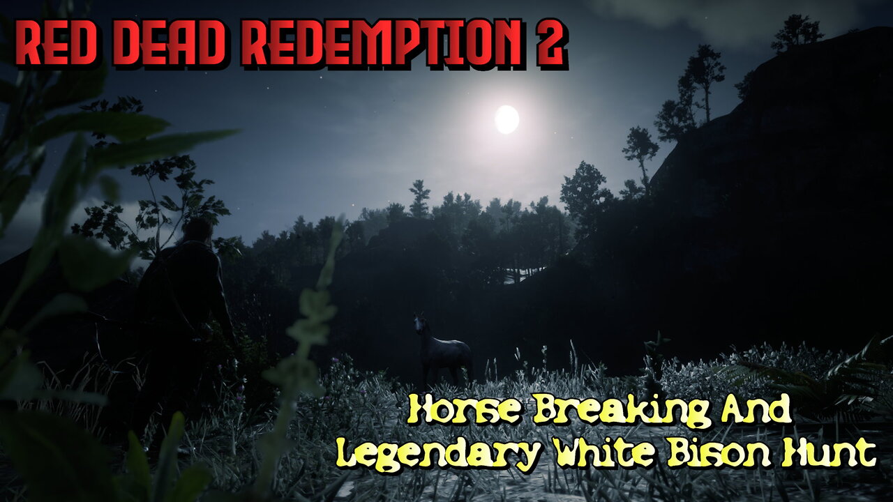 Red Dead Redemption 2| Andalusian Horse & White Bison