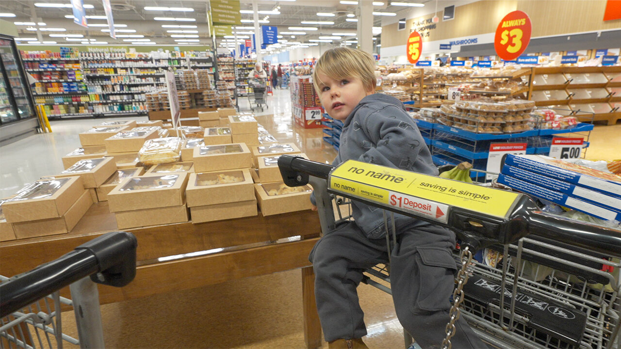 We grocery shop with two cart now. Daily Vlog #550