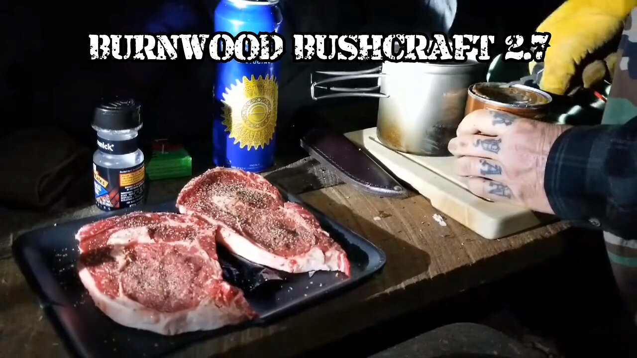 BURNWOOD BUSHCRAFT 2.7 - Cooking Steak on the Campfire in the Rain