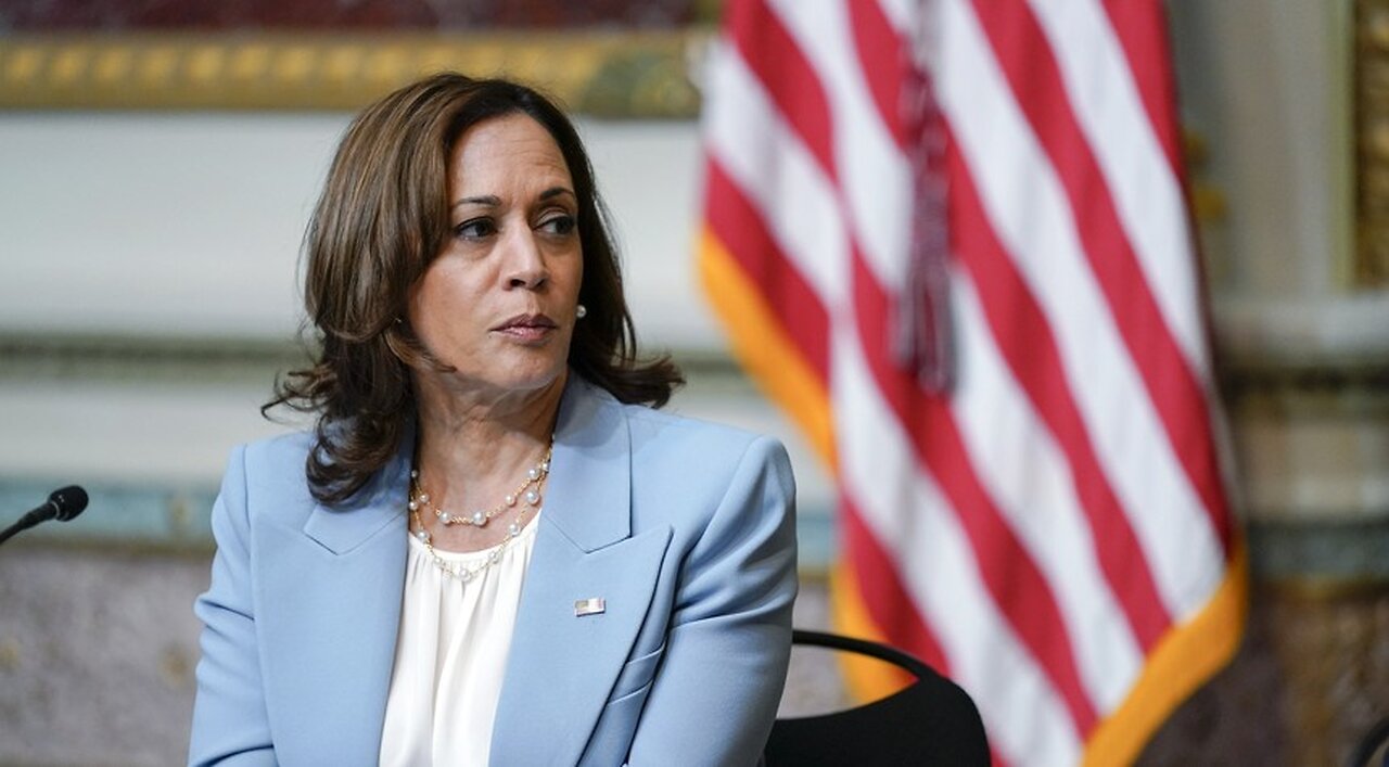 Biden-Harris Alum Inadvertently Reveals a Big Problem With Kamala Harris Going Into 2024