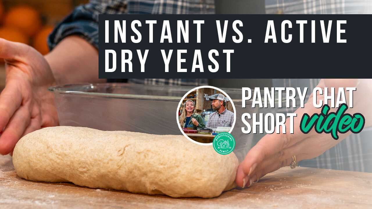 Instant vs. Active Dry Yeast | Pantry Chat Podcast Short