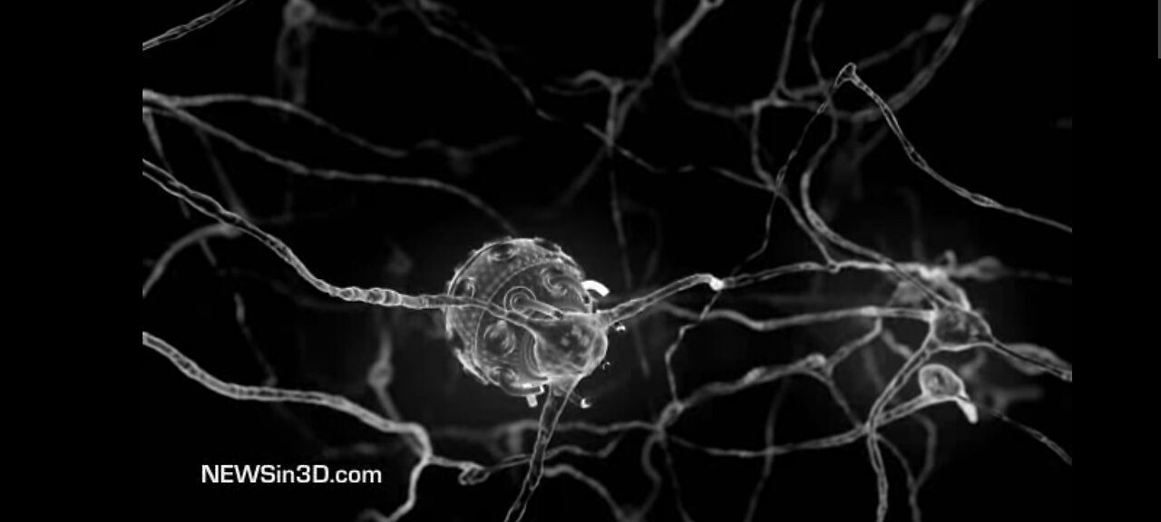 How Nano-Bots Replace Neurons in the Human Brain