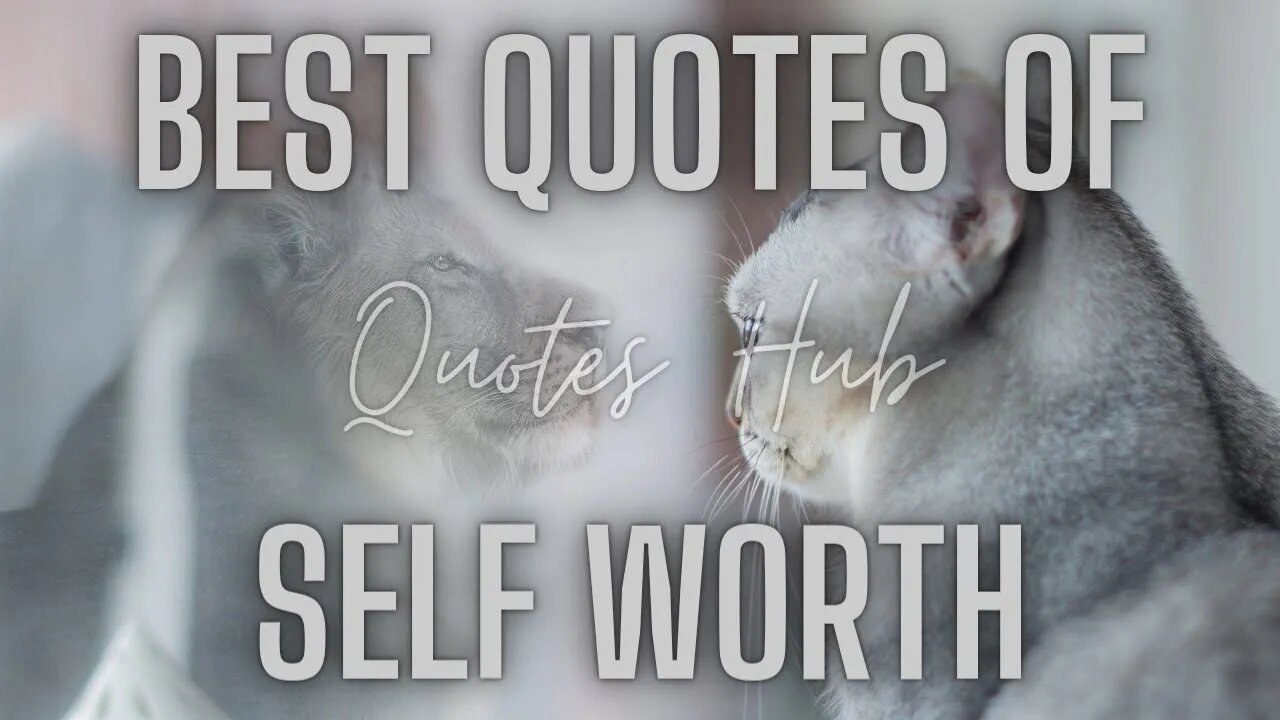 Best Self-Worth Quotes || Know your Worth Quotes || Quotes Hub