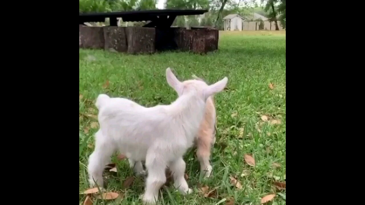 🫠🥰😍😘