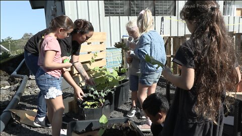 Kūpaʻa Homeschool Academy (Mask Free Education)