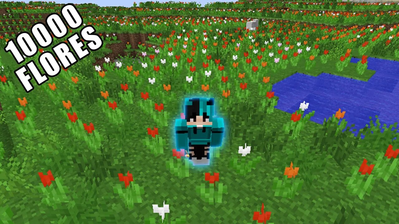 Minecraft Soq As Flores Invadiram o Mundo