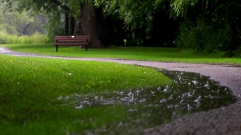 A Pool of Water in a Park Dripping With Rain | Fall Asleep FAST | 11 HOURS, Reduce Stress, Relax