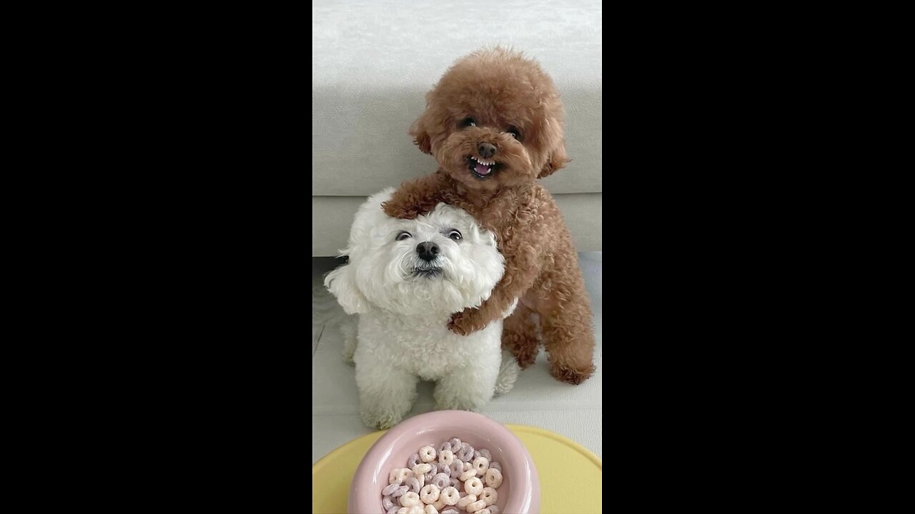 Charming Little Friends Enjoying Snack Time