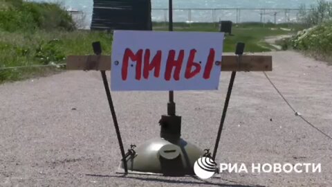 Ukrainian mines on beaches of Sea of Azov are cleared by Russian special forces