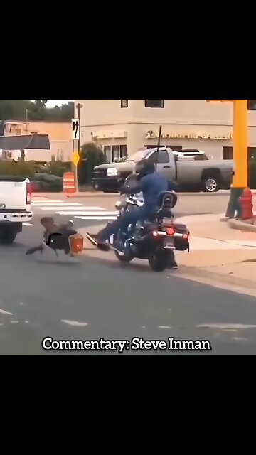 Mostly Peaceful Turkey Protesting Thanksgiving