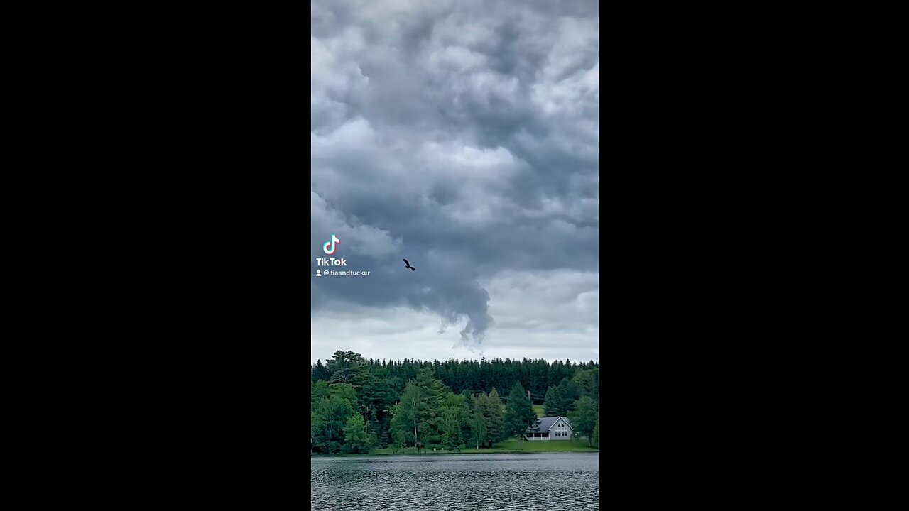 Bald Eagle swoops in for a fish