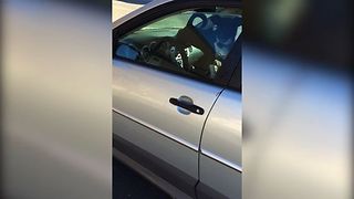 Dog Honks Horn For Owner's Attention