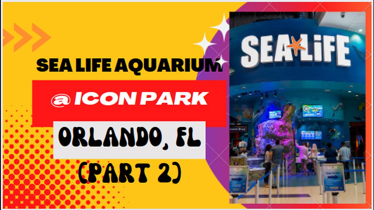 Places to go: SEA Life Aquarium at ICON Park, in Orlando, FL (Part 2)