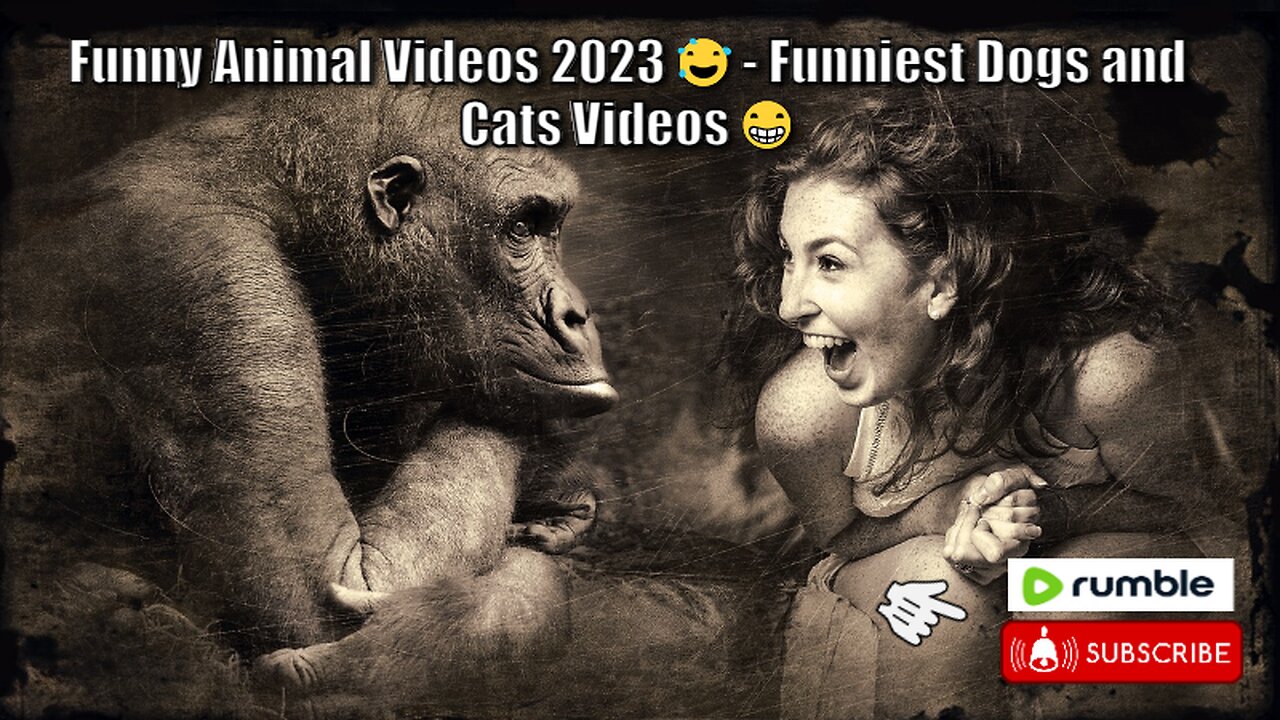 Funny Animal Videos 2023 😅 - Funny Animal Videos 😁