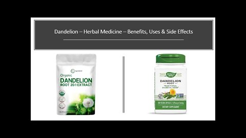 Dandelion Leaves Herbal Medicine Benefits, Uses & Side Effects