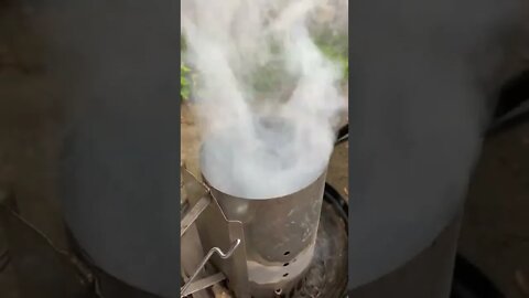 Ready for Grilled Corn