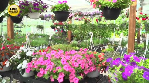 Memorial Day Weekend is the start of planting season - Part 4