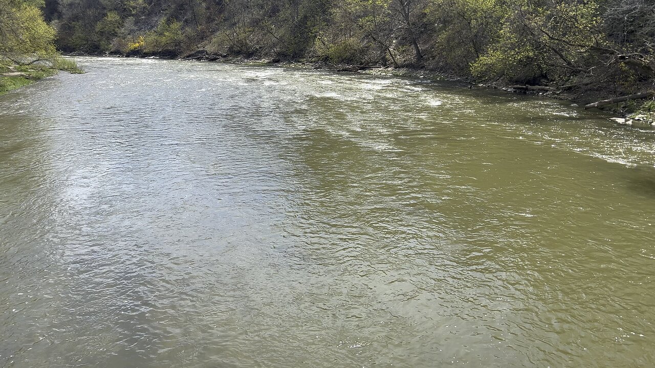 Tranquility Humber river Toronto