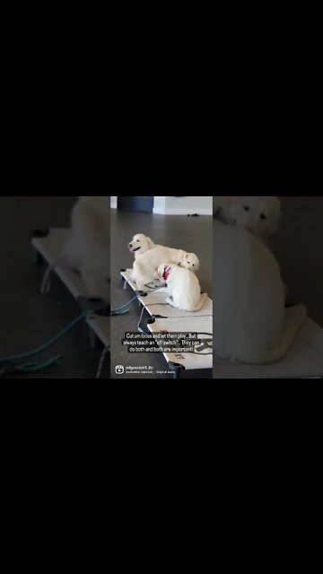 Motivation comes and goes. Discipline is constant...