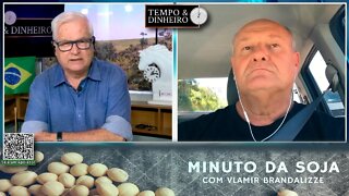 Olhos abertos para o Milho na exportação