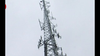 Main cell providers offering cell spam blockers