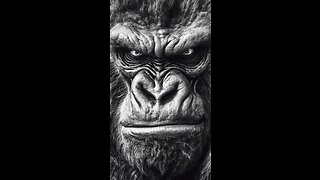 Don’t mess with King Kong