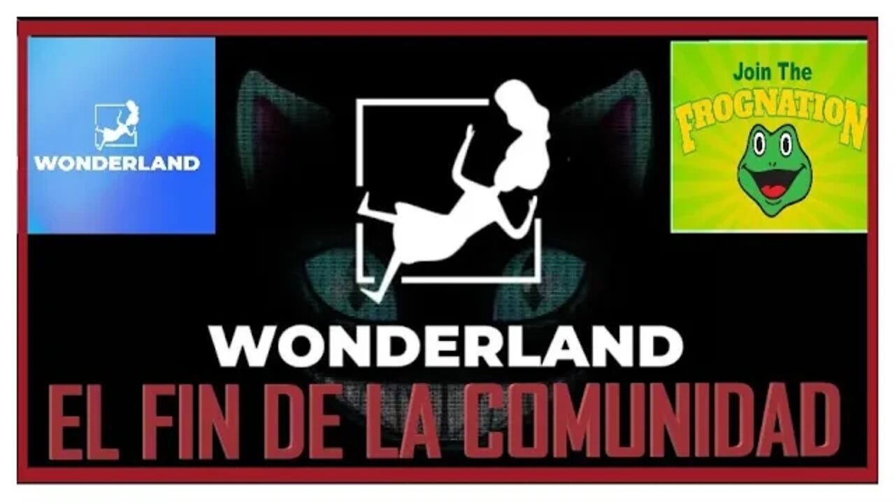 🏴‍☠️🏴‍☠️ EL FIN de Wonderland TIME 🏴‍☠️🏴‍☠️ Daniele Sesta Frog Nation 🐸