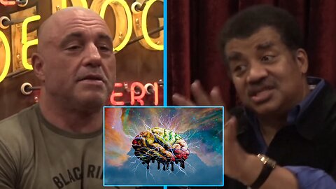 Joe Rogan & Neil deGrasse Tyson - Psychedelic Objective Reality's