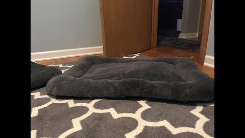 ANWA Dog Bed Medium Size Dogs, Washable Dog Crate Bed Cushion, Dog Crate Pad Large Dogs