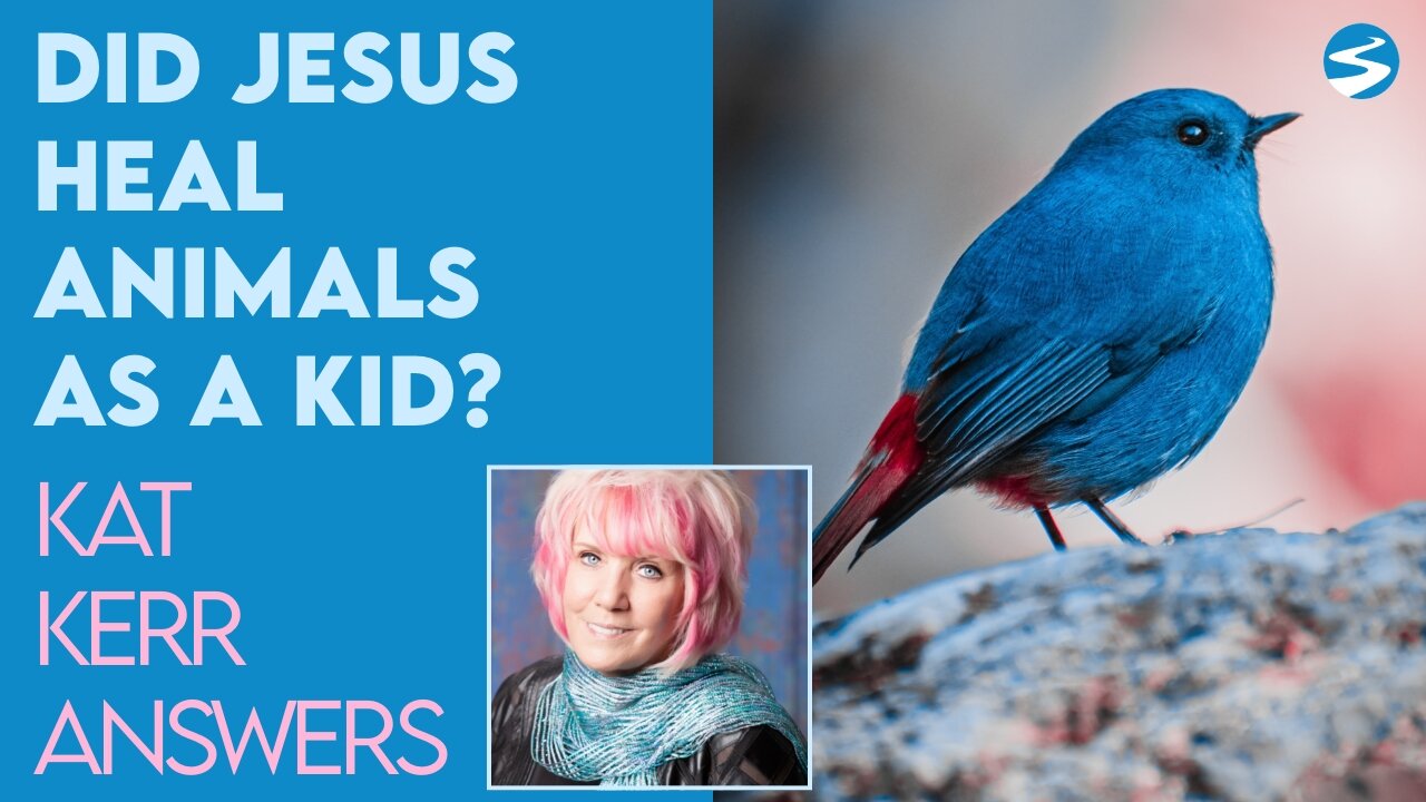 Kat Kerr: Did Jesus Heal Animals As A Kid? | May 25 2022