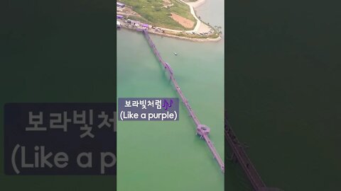 신안 퍼플섬비행(Purple Island flight) #shorts #purple #Island #퍼플섬 #비행