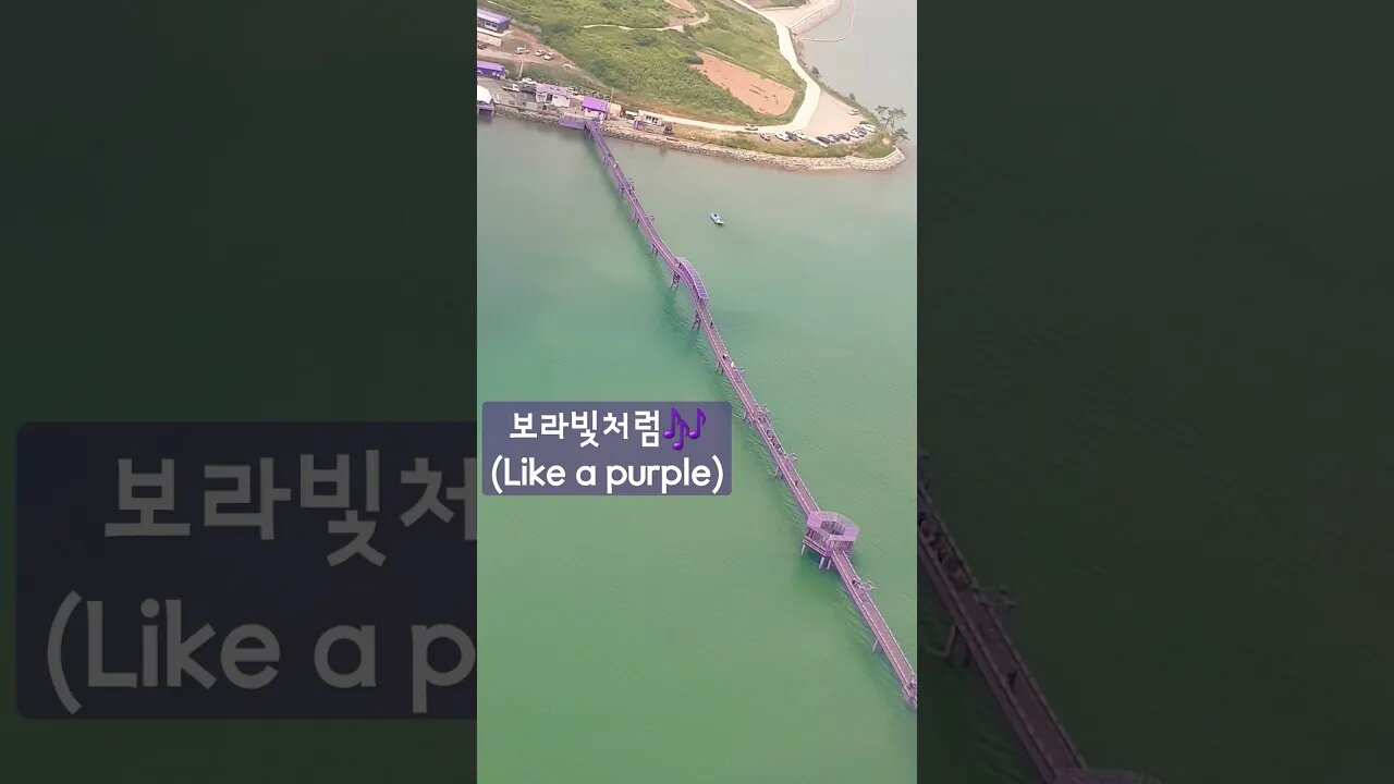 신안 퍼플섬비행(Purple Island flight) #shorts #purple #Island #퍼플섬 #비행