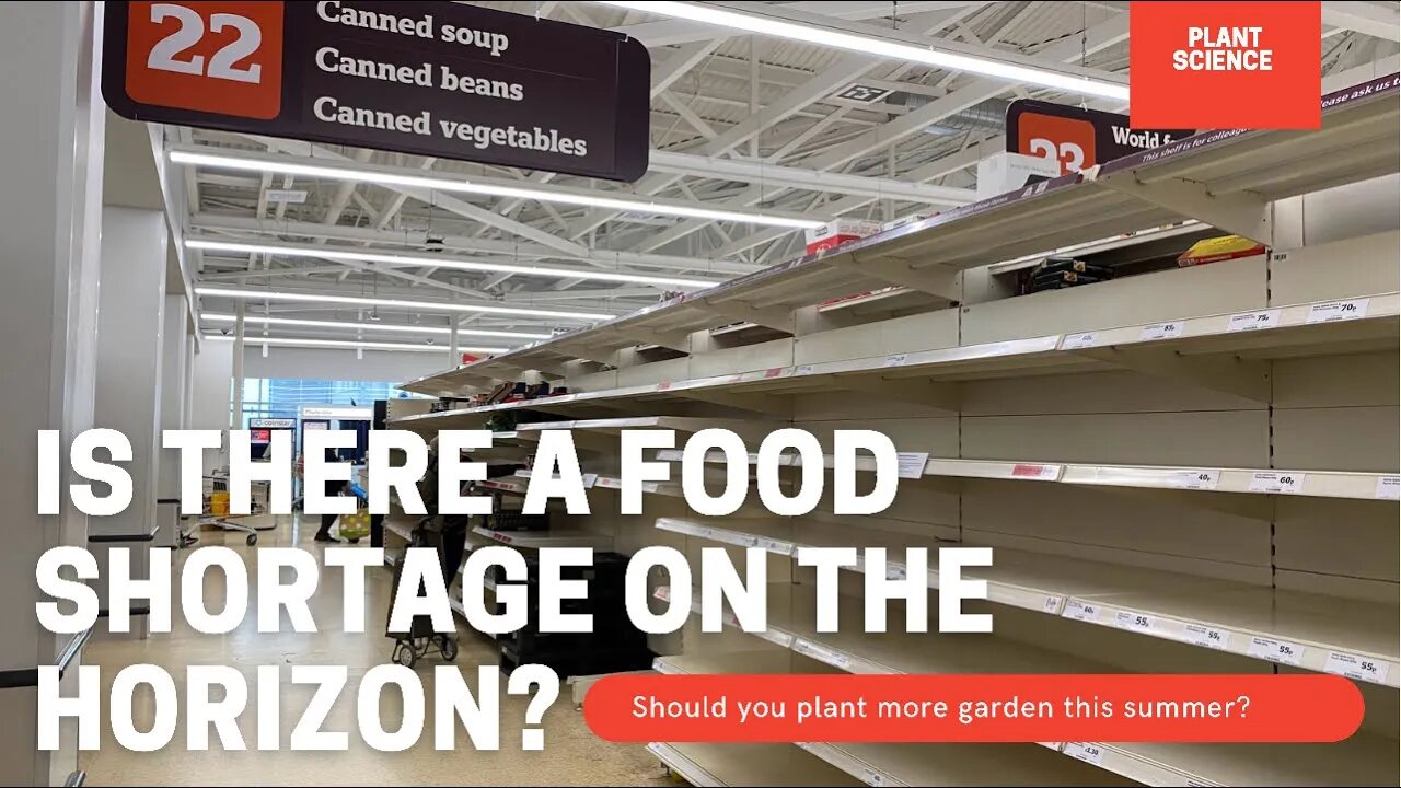 The 2021 Food Shortage Is Coming… But Why? Is It Fixable & How To Prevent It In The Future.